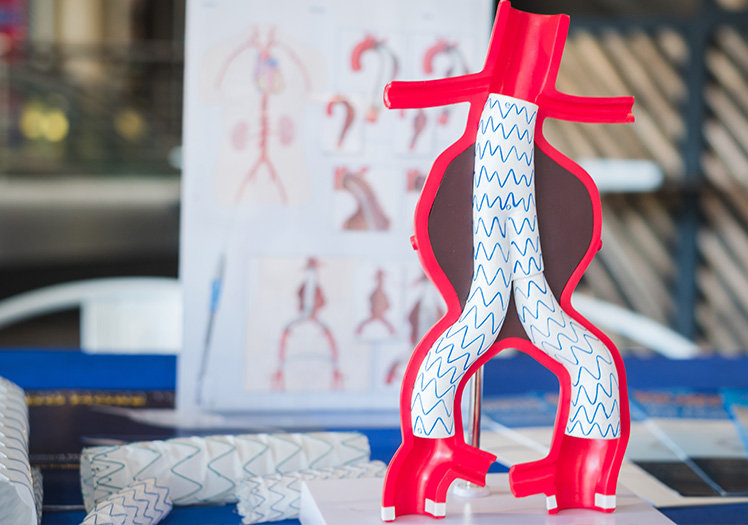The image shows a red model of a human heart with anatomical details on a table, accompanied by educational materials and diagrams.